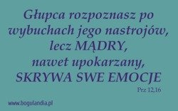 Magnes 67 na lodówkę Głupca rozpoznasz po wybuchach