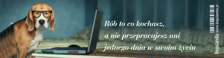 Zakładka 6 do książki - Rób to co kochasz