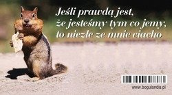 Magnes 13 na lodówkę Jeśli prawdą jest że jesteśmy