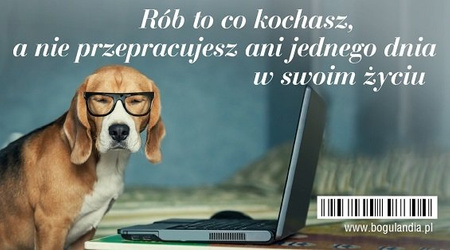 Magnes 6 na lodówkę Rób to co kochasz