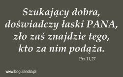 Magnes 63 na lodówkę Szukający dobra, doświadczy