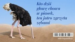 Magnes 5 na lodówkę Kto dziś głowę chowa w piasek